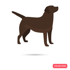 Labrador color flat icon for web and mobile design