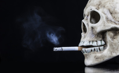 ein Totenschädel aus Keramik mit brennender Zigarette symbolisiert die Schädlichkeit des Rauchens