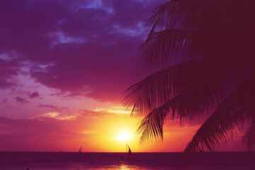 Fototapeta na wymiar Silhouette palm tree sailboats sunset faded filter