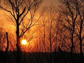 Naklejka premium Sunsets