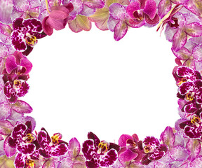 Beautiful Pink Orchids Border for Greeting Card or Lovely Flower Frame