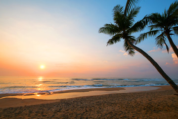 The landscape of tropical beach with palm tree in the sunrise. Beautiful nature and calm.