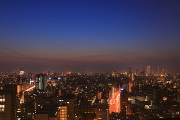 Obraz premium Tokyo night view