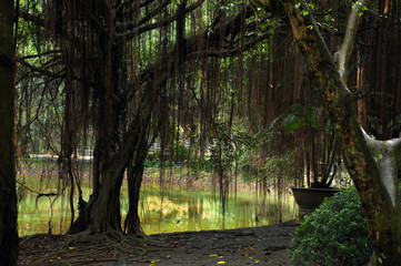 Lake near the Hang Mua pagoda. Ninh Binh, Vietnam