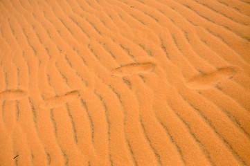 Footprints in the desert sand