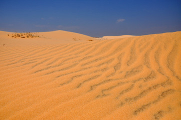 Sand dunes in the desert