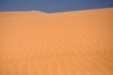 Sand dunes in the desert