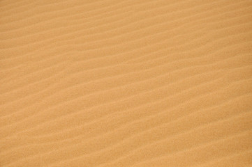 Sand dunes in the desert