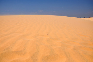 Fototapeta na wymiar Sand dunes in the desert