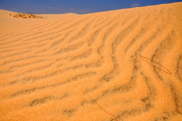 Sand dunes in the desert