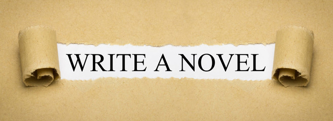 Write a Novel