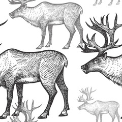Seamless pattern with Reindeer.