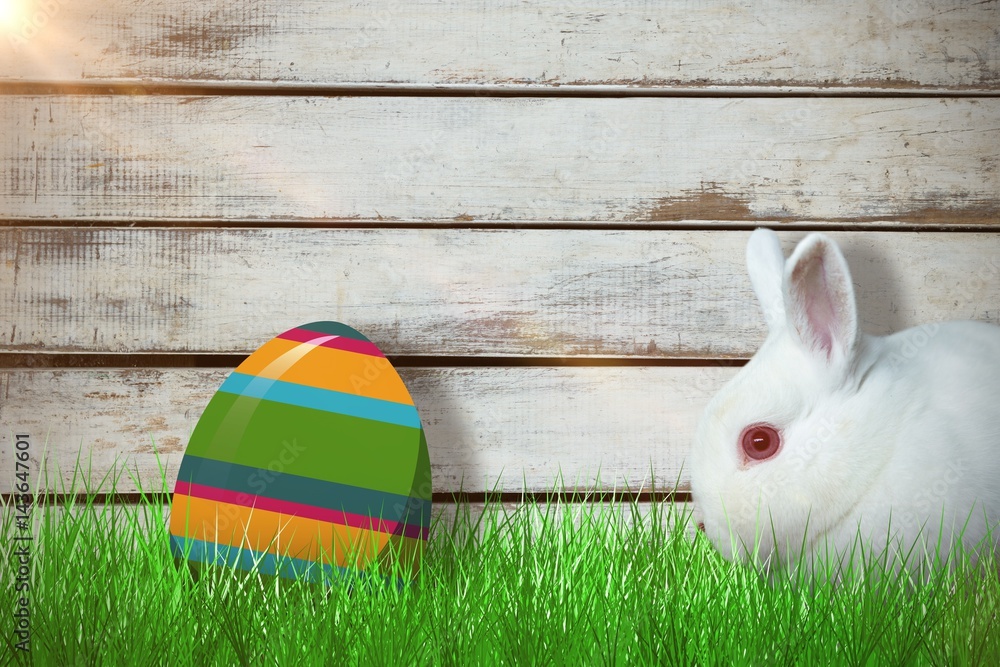 Poster composite image of close up of rabbit