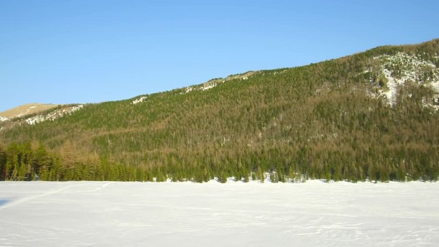 Video panorama of winter Altai mountains and pine forest in Multa region