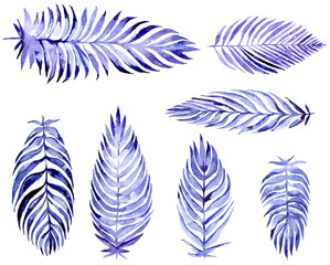 Hand drawn collection with blue palm leaves, drawn with purple and blue watercolor and brush. Plant set, isolated on white background. Leaves in different sizes and shapes. Large raster illustration