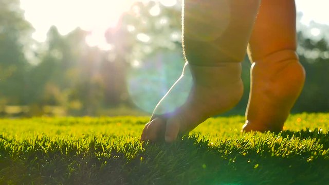 Baby start walking first time on green grass with sunlight background