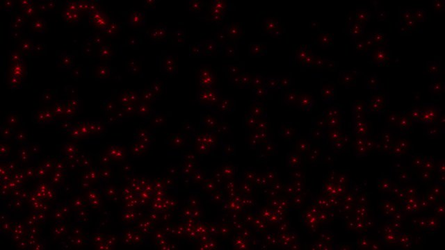 star light shine particles. whit alpha chanel