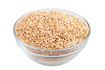 Wheat seeds in a bowl isolated on white background