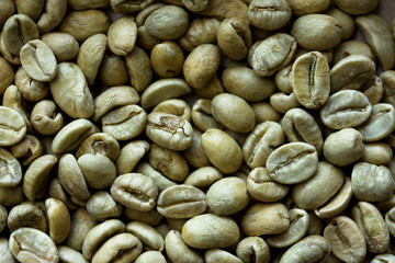 Traditional not roasted coffee beans.