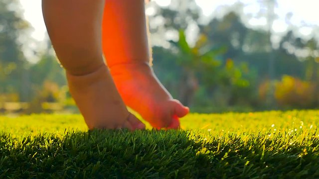 Baby start walking first time on green grass with sunlight background