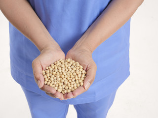 Hands holding a pile of soybeans on white background