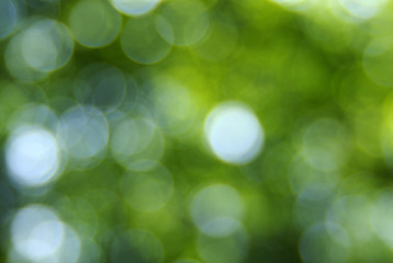 Obraz premium Green blurred background