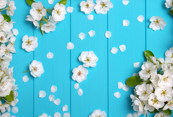 Spring blossom on blue wood