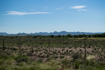 Fototapeta na wymiar Prairie Landscape, Free State, South Africa