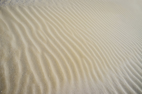 Beach sand texture. Color image