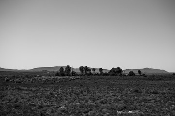 Obraz premium Solitary Settlement, Farm in Prairie Landscape, Free State, South Africa