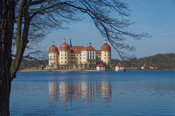 Schloss Moritzburg und Schlossteich