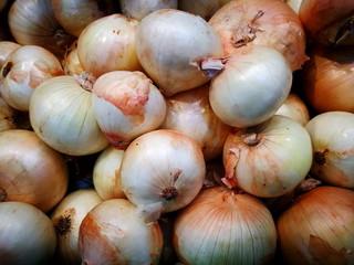 A lot of large onions