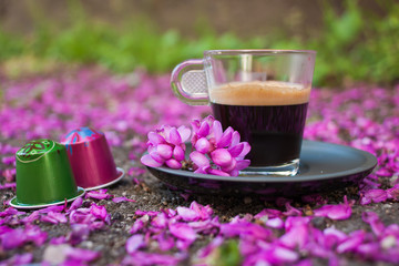 A cup of coffee on the ground covered with pink petals. Green and pink coffee capsules.