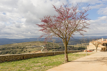 The town of Culla in Castell&oacute;n, Valencia