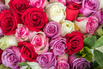 rose background ,natural texture