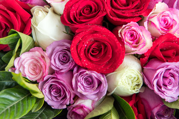 rose background ,natural texture