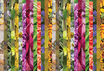 Colorful collage of vertical strips, horizontal.