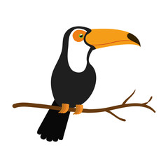 toucan exotic bird icon