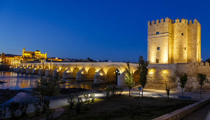 old roman bridge and tower Calahora at night, Cordoba