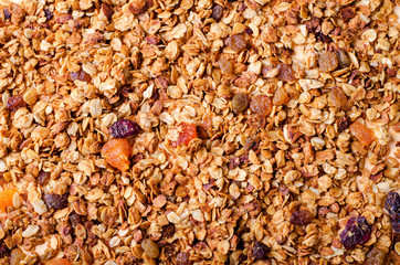 Homemade granola with honey, oatmeal, nuts, raisin, cranberry and dried apricots