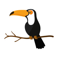 Fototapeta premium toucan exotic bird icon