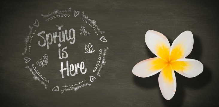 Composite image of spring is here logo against background 