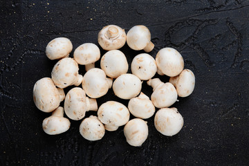 Mushrooms on black cement. Mushrooms on a concrete background