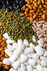 Raw color beans closeup