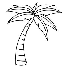 tree palm tropical icon