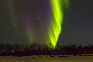 Northern Lights (Aurora borealis) over snowscape.