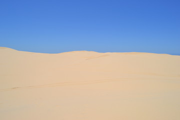 Fototapeta na wymiar Dune like a desert