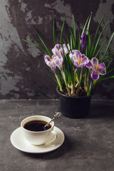 The girl's hands closeup with a pen in hand writing in a notebook. On the table is a Cup of coffee and a vase with flowers crocuses