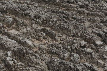 wall stone texture