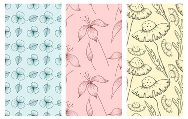 Set of vector illustrations of flowers. Seamless backgrounds with hand drawn lily, dandelions with leaves. Hand drawn contour lines and strokes. Graphic vector illustration. Line drawing